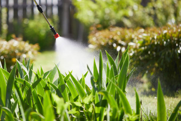 Tamper-Resistant Bait Stations for Rodents in Waimanalo