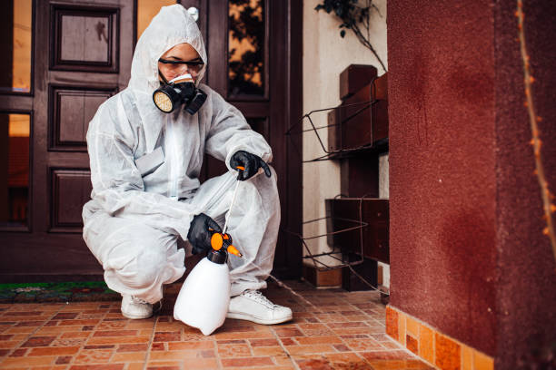 Attic and Crawl Space Rodent Treatment in Waimanalo